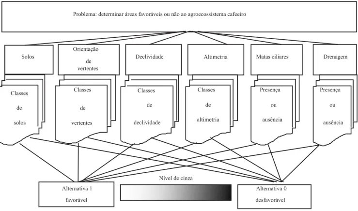 Figura 2. Estrutura hierárquica para determinar as áreas favoráveis ao agroecossistema cafeeiro.