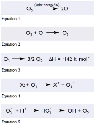Figura 7. Reações químicas em torno do ozono (Baysan &amp; Lynch, 2005) 