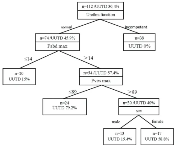 Table 2. Classi ﬁ cation rules of the decision tree model for risk of upper urinary tract damage (UUTD).
