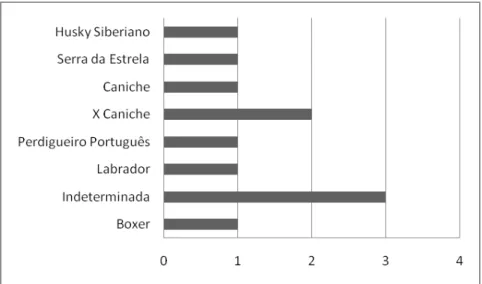 Figura 9. Distribuição das neoplasias mamárias benignas por raça.