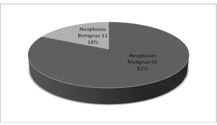 Figura 5. Distribuição das neoplasias de acordo com o seu comportamento biológico.