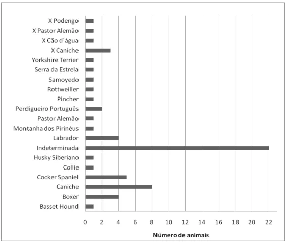 Figura 7. Distribuição das neoplasias mamárias por raça.