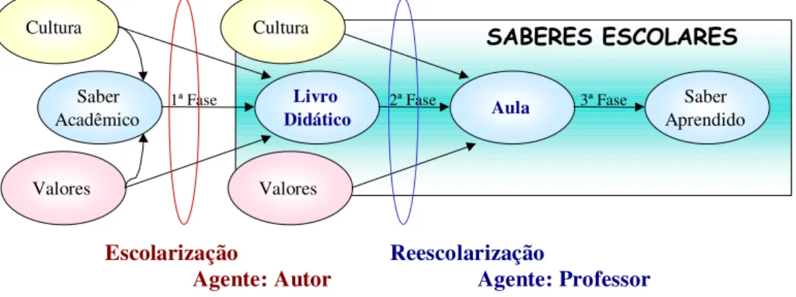 Figura 3 - Reescolarização 