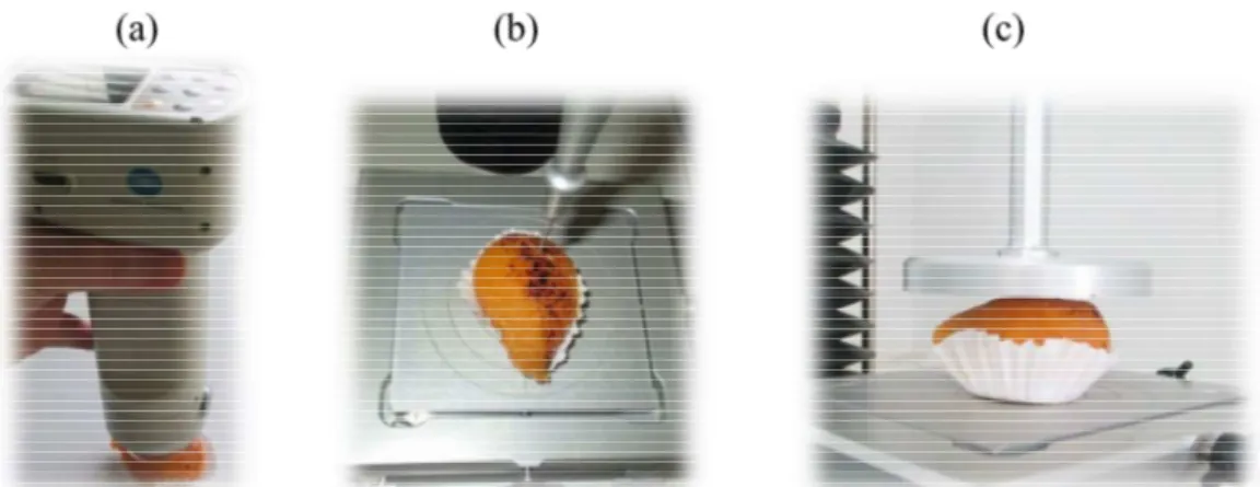 Figure 5: (a) Evaluation of colour; (b) Evaluation of texture by the compression test and (c)  Evaluation of texture by the Puncture test