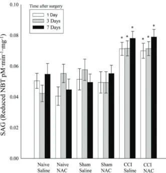 Figure 4. Superoxide anion generation (SAG) in the spinal cord of rats with chronic constriction injury (CCI) of the sciatic nerve that received 2, 4 or 8 intraperitoneal injections of saline or  N-acetylcysteine (NAC; 150 mg  kg – 1  day – 1 ) beginning 4