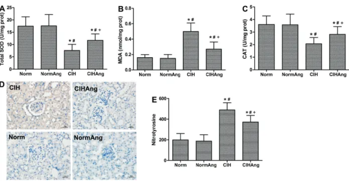 Figure 7A and B).