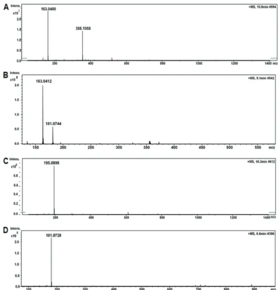 Figure 3. Spectra of ion fragments obtained from analysis of yerba mate (Ilex paraguariensis) extracts