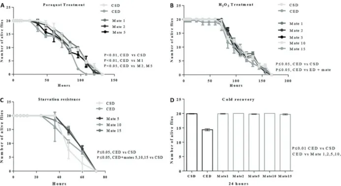 Figure 5. Experimental paradigm for ﬂ ies’ resistance to paraquat treatment (A), hydrogen peroxide treatment (B), starvation (C) and cold recovery (D)