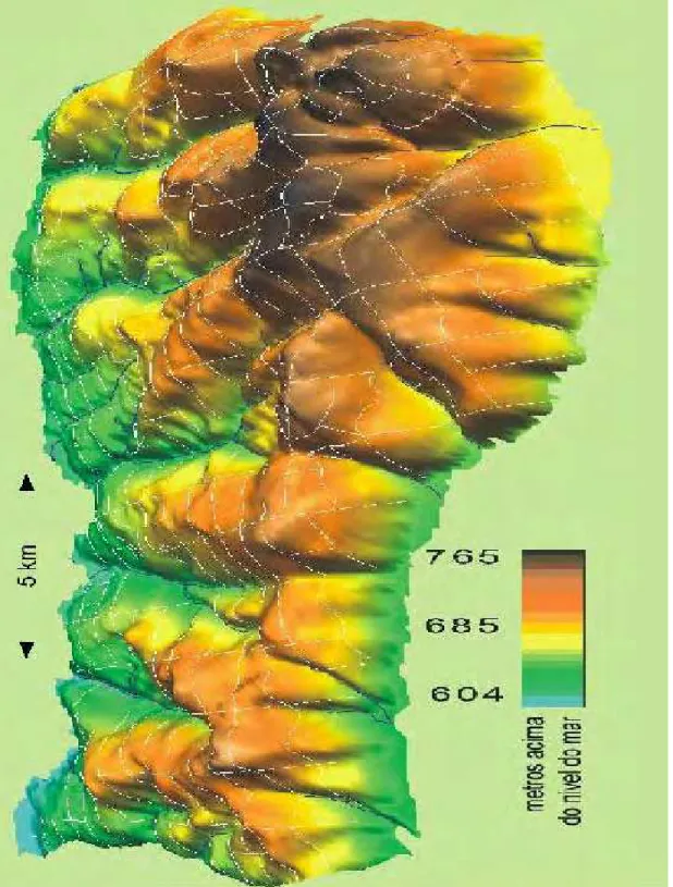 Figura 2  -  Mapa de relevo da área estudada 