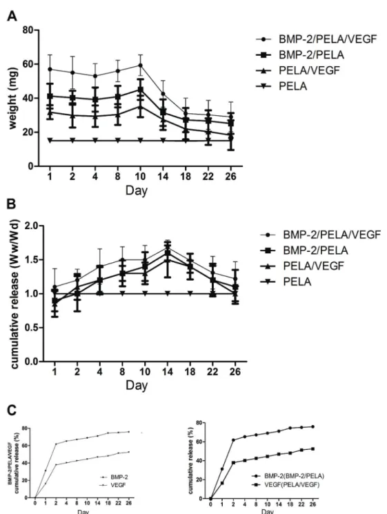 Figure 1. Weight loss (A), swelling ratio (B) and cumulative release pro ﬁ le (C) of BMP-2/PELA/VEGF scaffolds in PBS at 37°C