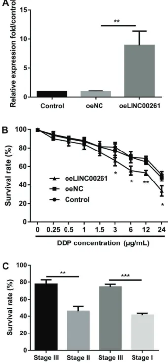 Figure 3. Effects of LINC00261 on cisplatin (cis-diammineplati- (cis-diammineplati-num dichloride, DDP) resistance of cells