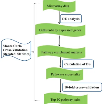 Figure 1. Flowchart displaying a brief overview of the main protocol. DE: differential expression; DS: discriminating score.