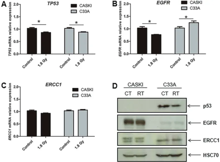 Figure 2. Gene expression modulation induced by radiation in cervical cancer cell lines