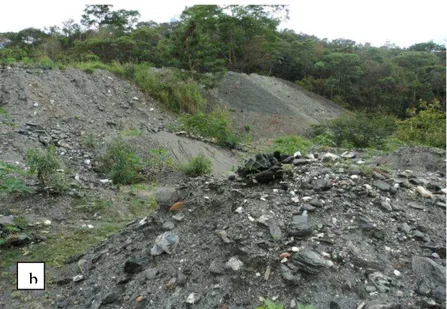 Figura 2 (a, b): Área de disposição do resíduo mineral, no garimpo Capoeirana em Nova Era-  MG