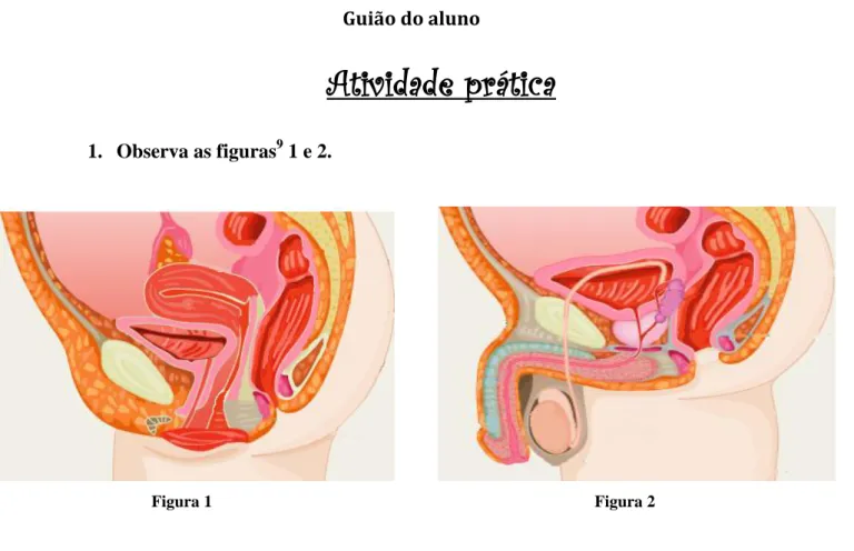 Figura 1  Figura 2 