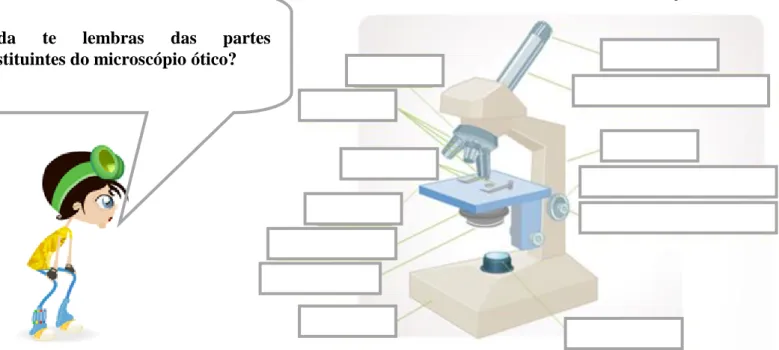 Figura 1 – Representação de um microscópio ótico