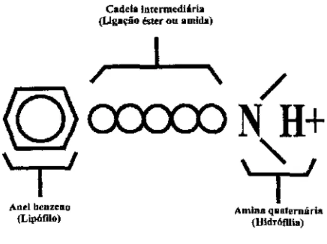 FIGURA  1 -Estrutura química da molécula de anestésico local 