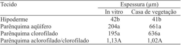 Tabela 2. Espessura dos tecidos do mesofilo e razão entre espessura de parênquima aclorofilado (aqüífero + hipoderme) e espessura de parênquima clorofilado na região do eixo  cen-tral de folhas de abacaxizeiro in vitro e aos seis meses em casa de vegetação