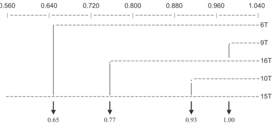 Figure 2. Molecular profile of the strains of Acinetobacter baumannii in 1.5% agarose gel obtained by ERIC-PCR methodology.
