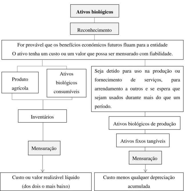 Figura 5: Reconhecimento e mensuração – NC-ME 