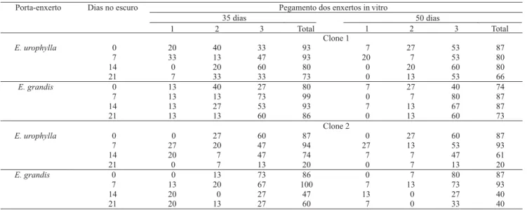 Tabela 1. Porcentagem de pegamento de enxertos in vitro referentes às combinações dos enxertos de dois clones híbridos de E