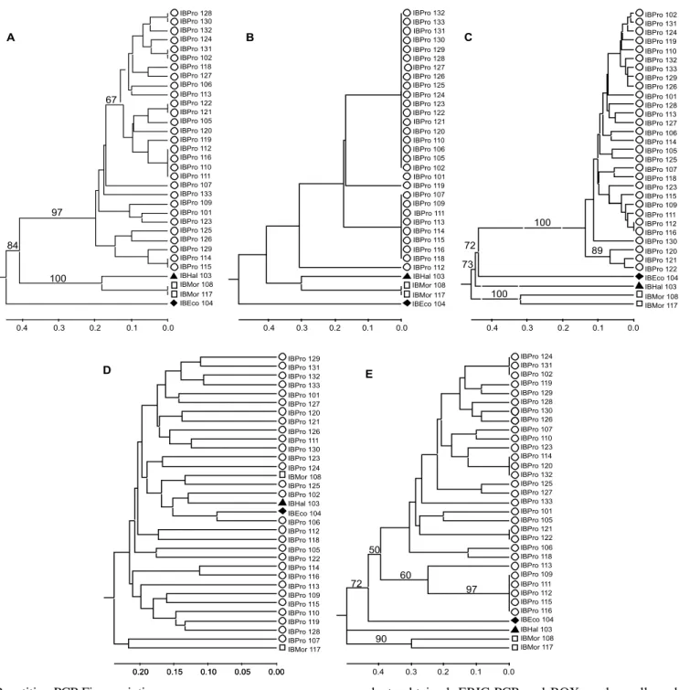 Figure 2. Dendrograms obtained for Proteus mirabilis and outgroup species using different PCR fingerprinting methods
