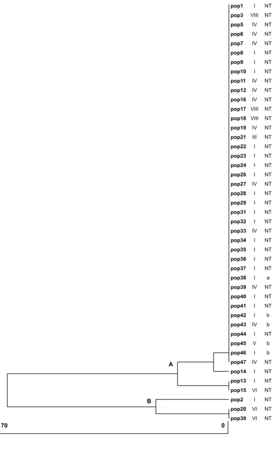 Figure 1. Dendrogram of dissimilarity obtained for Haemophilus influenzae strains using the RFLP of amplified 16S rDNA (bars = percentage of dissimilarity)