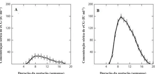 Gráfico 2 - Comparação dos perfis séricos de eCG através de medições semanais em: (A) burras gestantes  de fetos da sua própria espécie, (B) burras gestantes de um cruzamento interespécie; adaptado de (Stewart  et al., 1976)