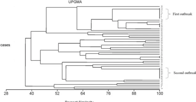 Figure 2. Percent similarity resulting from the computer-assisted analysis of the PFGE profiles of SmaI-digested genomic DNA of Staphylococcus epidermidis strains