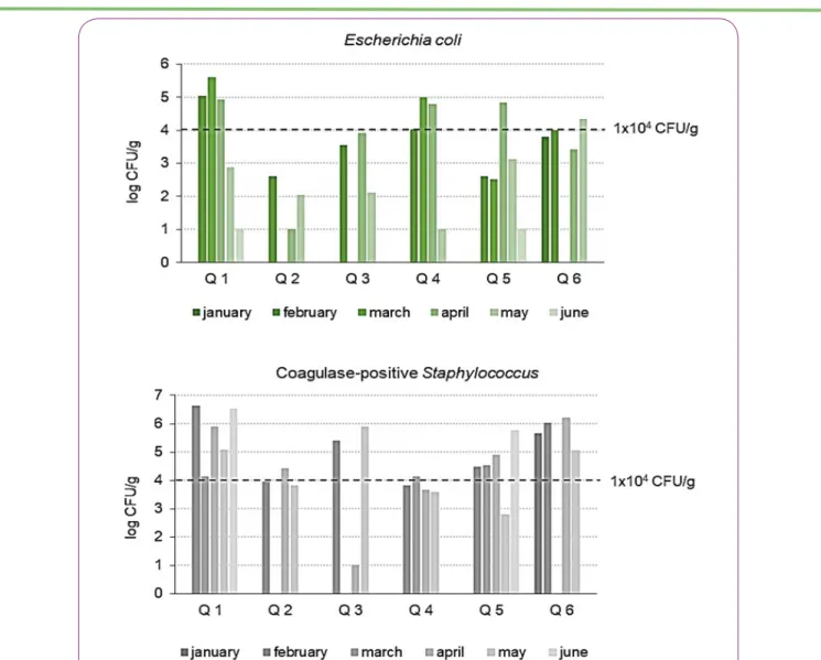 Figure 1: Escherichia coli and coagulase-positive Staphylococcus determinations in SE cheese samples