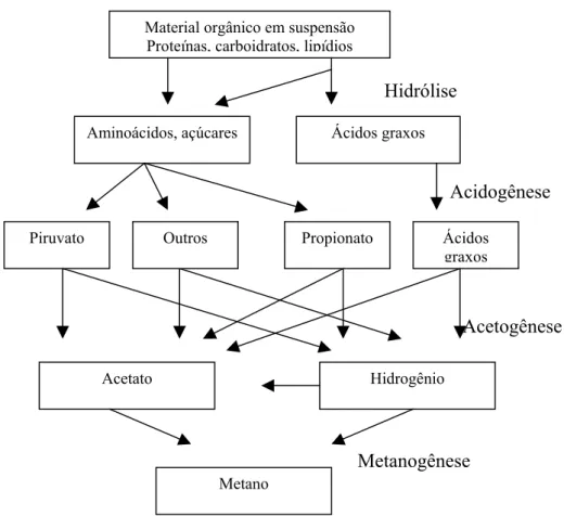 FIGURA 1. Sequência de processos na digestão anaeróbia de macromoléculas complexas  (Fonte: FORESTI et al., 1999) 