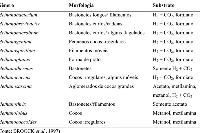 TABELA 1. Gêneros representantes das espécies metanogênicas, aspectos de sua morfologia  e substrato utilizado para a conversão em biogás