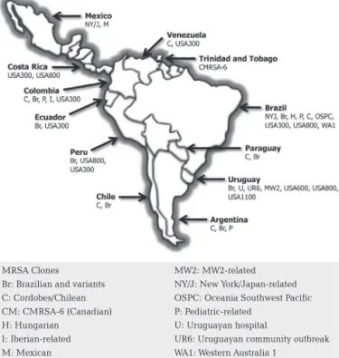 Figure 1: MRSA clones circulating in Latin America identified  since 2000 23-36