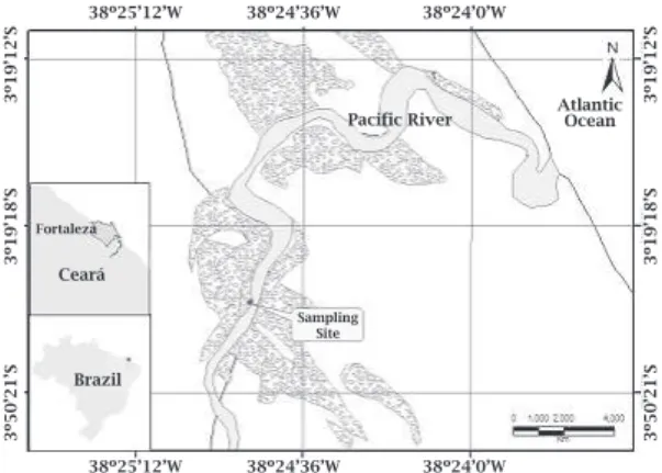 Figure 1: Map of the sampling site for mangrove  oyster,  Crassostrea  rhizophorae,  located  at  Center for Studies of Coastal Aquaculture (CSCA)  in Euzébio, Ceará state, Brazil.