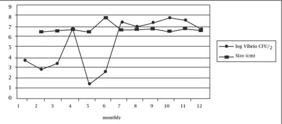 Table 1. Vibrio sucrose positive and negative standard plate count (spc), individual size and pH  on   Mangrove Oyster, Crassostrea rizophorae, collected in Euzébio, Ceará state, Brazil