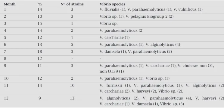 Table 2. Vibrio Strains Identified on Mangrove Oyster, Crassostrea rhizophorae, in Euzébio, Ceará State, Brazil