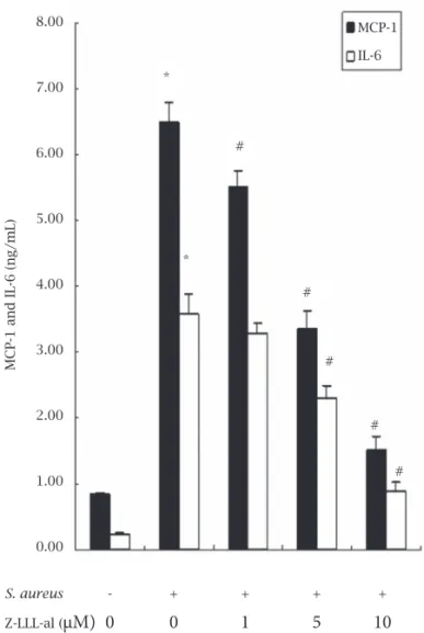 Figure 2: Dose-dependent activation of NF-kB signaling  pathway by Staphylococcus aureus in human osteoblasts