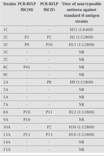 Table 4. Results of PCR-RFLP and serotyping of non- non-typeable E. coli strains