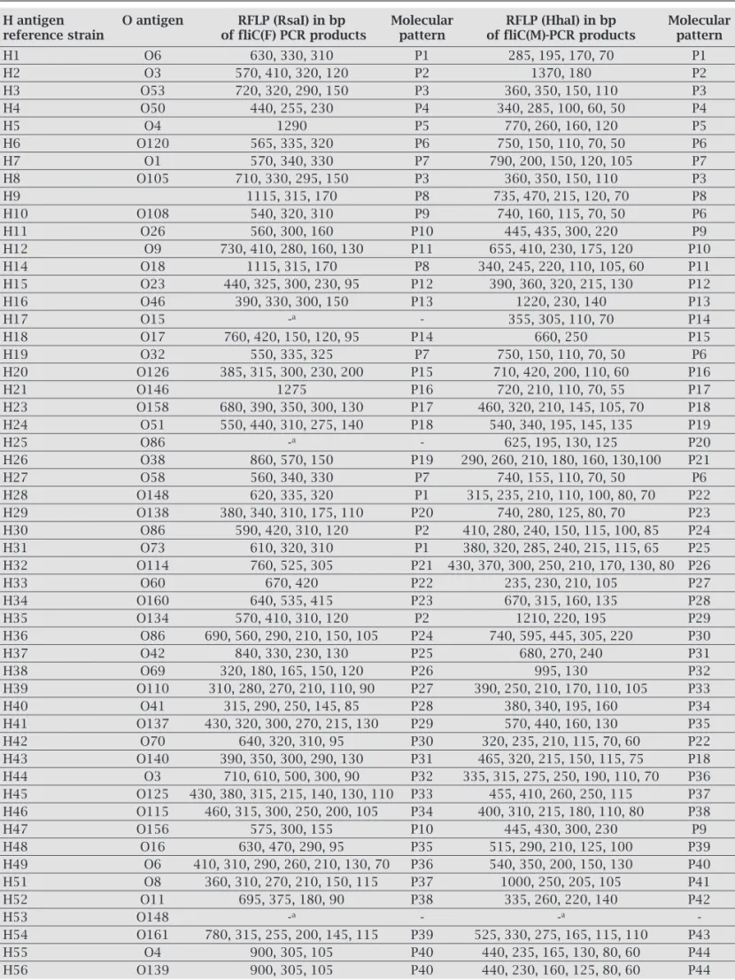Table 5. Polymorphisms of fliC(F) and fliC(M) PCR products and their restriction patterns obtained (molecular pattern) H antigen  O antigen  RFLP (RsaI) in bp  Molecular  RFLP (HhaI) in bp   Molecular  reference strain   of fliC(F) PCR products   pattern  