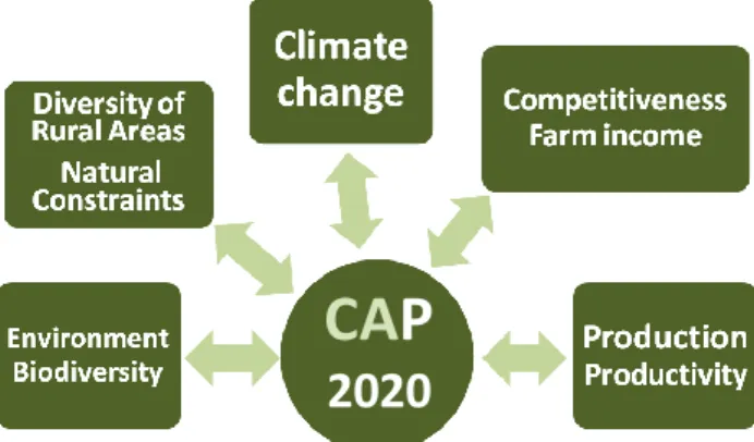 Figure 1 resumes, in more detail, the objectives of the EU Commission proposal for the  new CAP 2020