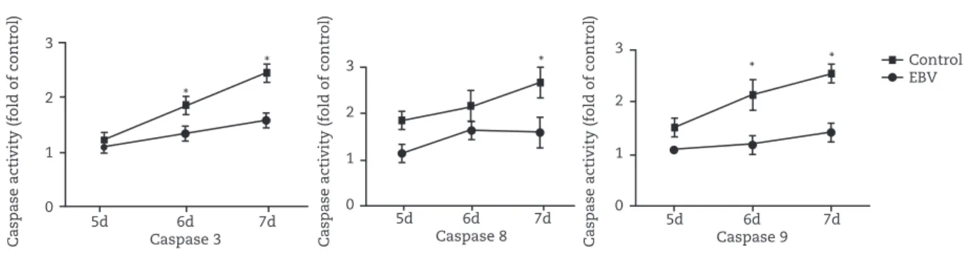 Fig. 5 - Activity of caspase 3, 8, and 9 is assessed on three different days after EBV infection (days 5, 6, and 7)