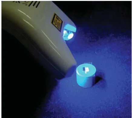 FIGURA 14 - Espécimes do grupo G3 irradiados com aparelho (LED Whitening LASE  II, DMC)