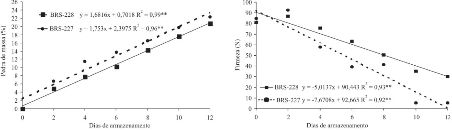 Figura 2. Perda de massa e firmeza de duas cultivares de sapoti, cujos frutos foram armazenados à temperatura de 26±2ºC e umidade relativa de 55±5%