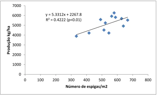 Figura 10 - Relação entre a produção de trigo e o número de espigas por m 2