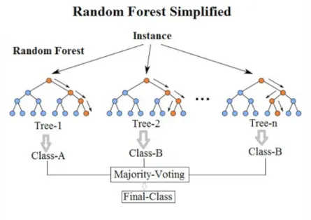 Figura 2.7: Random Forest [5].