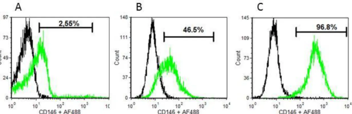 Figure  2  -  Representative  flow  cytometry  analysis  of  hBMSCs  at  different  passages  and  cultured  in  different culture medium