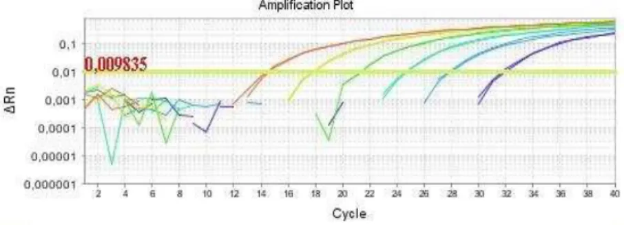 Figura 3. Curva padrão da PCR tempo real para quantificação com DNA de C.coli diluído em base 10 de 20ng a  200fg, correspondente a 10 7  a 10 2  bactérias/g, respectivamente