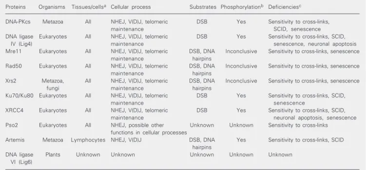 Table 1. Eukaryotic non-homologous end joining proteins.