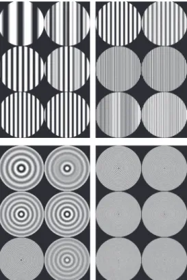 Figure 1. Example of pairs of stimuli used to measure F 1 (S) (or FSIN01cpd, top, left), F 4 (S) (or FSIN04cpd, top right), F 1 (R) (or FBES01cpd, bottom left) and F 4 (R) (or FBES04cpd, bottom right)