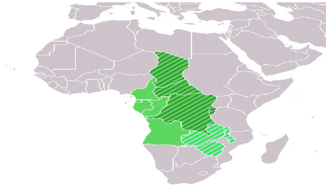 Figura 7 – Mapa dos Países pertencente à CEEAC  Fonte: Imagem da Google 